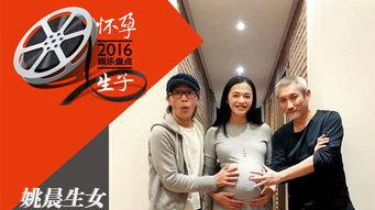 美子吃瓜娱乐说,揭秘娱乐圈幕后故事